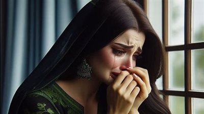 سمكة قرش الغردقه 