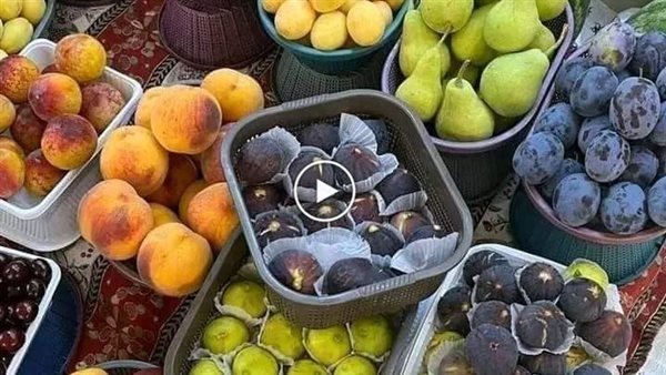 موقع أيام نيوز