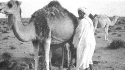 يذكر راجل اسمي السابع جدعان
