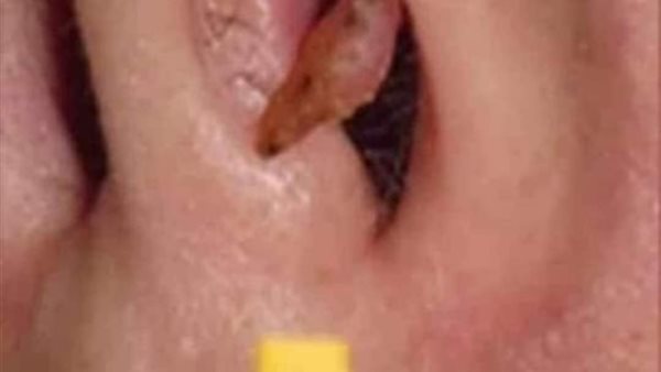 موقع أيام نيوز
