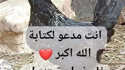  قصه انتشرت الفرحه وعمت السعاده في انحاءقريتي فزواج احن وأطيب
