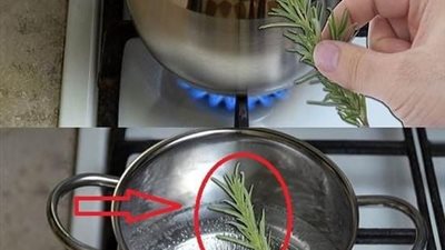 فوائد غلي إكليل الجبل لمدة 10 دقائق