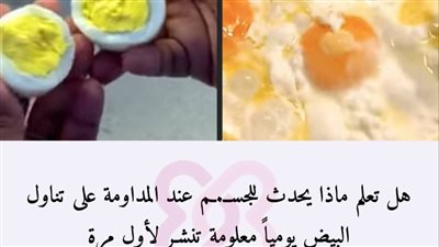 البيض 