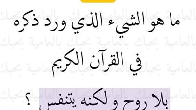 ما هو الشيء الذي ورد ذكره في القرآن الكريم بلا روح