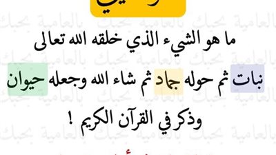 لغز ديني ماهو الشي الذي خلقه الله نبات ثم حوله جماد ثم حيوان
