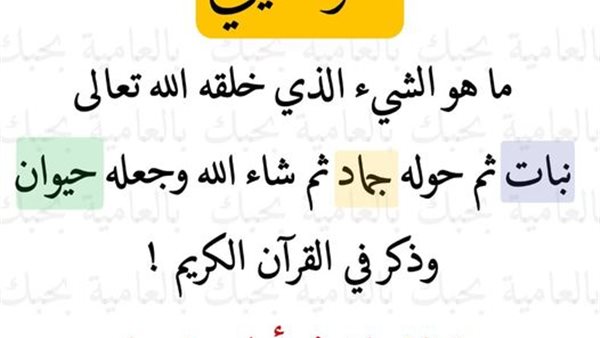 موقع أيام نيوز