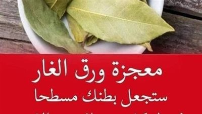 معجزة ورق الغار 