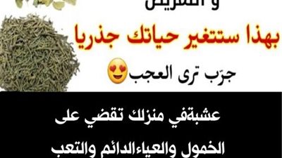 أعشاب لزيادة النشاط ومنع الكسل
