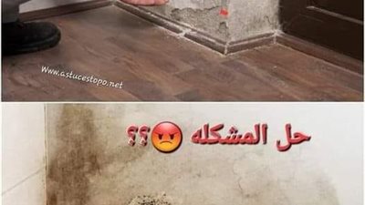 حل مشـكله الرطوبه والدهان
