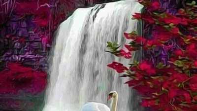 كفن السيده خديجه