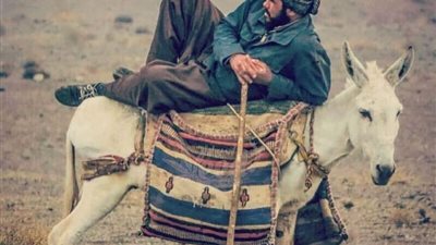 خد الحكمه من أفواه المجانين
