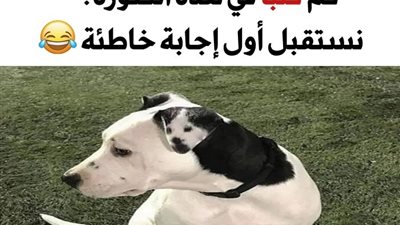 +10 صور لمصادفات عجيبة شاهدها بعض الأشخاص وقرروا مشاركتها معنا