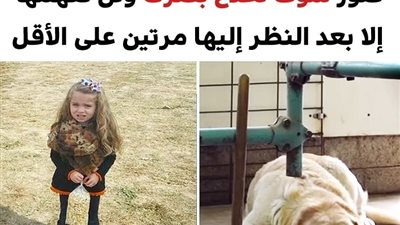 +10 صور سوف تخدع بصرك ولن تفهمها إلا بعد النظر إليها مرتين على الأقل