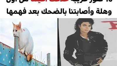 +10 صور غريبة خدعت أعيننا من أول وهلة وأصابتنا بالضحك بعد فهمها