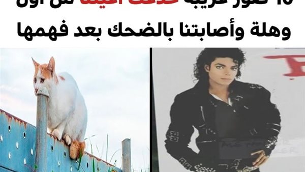 موقع أيام نيوز