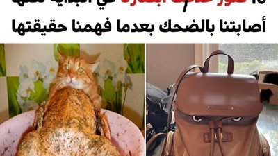 +10 صور خدعت أبصارنا لكنها أصابتنا بالضحك بعدما فهمنا حقيقتها