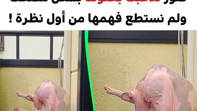 +10 صور تلاعبت بعقولنا ولم نستطع فهمها من أول نظرة