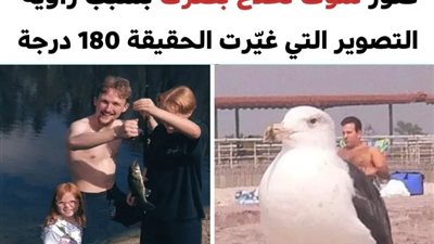 +10 صور سوف تخدع بصرك بسبب زاوية التصوير التي غيّرت الحقيقة 180 درجة
