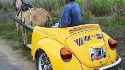 يقول أحد الآباء