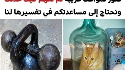 10 صور لمواقف وأوضاع غير مفهومة والتي تحتاج للكثير من التوضيح والتفسير