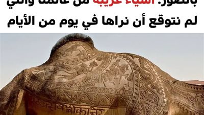 من الواضح أن هذا العالم لن يتوقف عن إبهارنا 