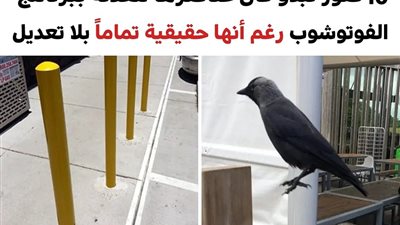 +10 صور تبدو كأن عناصرها مُعدَّلة ببرنامج الفوتوشوب رغم أنها حقيقية تماماً