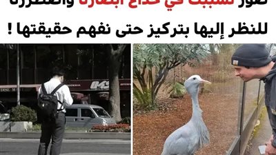 +10 صور تسببت في خداع أبصارنا واضطررنا للنظر إليها بتركيز حتى نفهمها