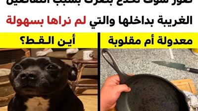 +10 صور سوف تخدع بصرك بسبب تفاصيلها التي تختلف تماماً عن حقيقتها