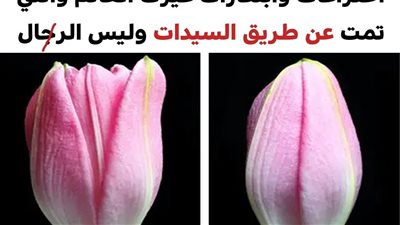 10 سيدات لهنّ الفضل في تسهيل حياتنا باختراعاتهنّ رغم محاولات إخفاء إنجازاتهن