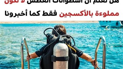 +10 معلومات خاطئة كانت شائعة في الماضي والتي كشف روّاد الإنترنت حقيقتها
