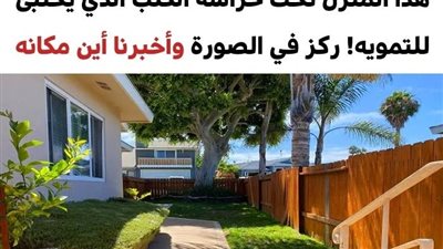 اختبر قوة بصرك وحاول العثور على الحيوانات المختبئة داخل تفاصيل هذه الصور