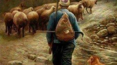  راعى الغنم