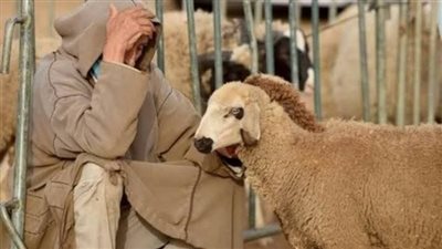 قصة جوزي وجارتي كامله جميع الفصول