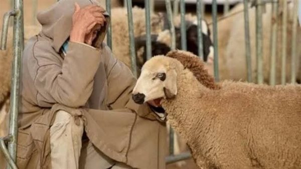 موقع أيام نيوز