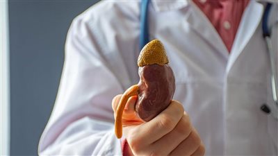 تعرفوا على اسباب تضخم الكلى وطرق علاجها .