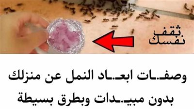 أحدث الطرق للتخلص من النمل في المنزل