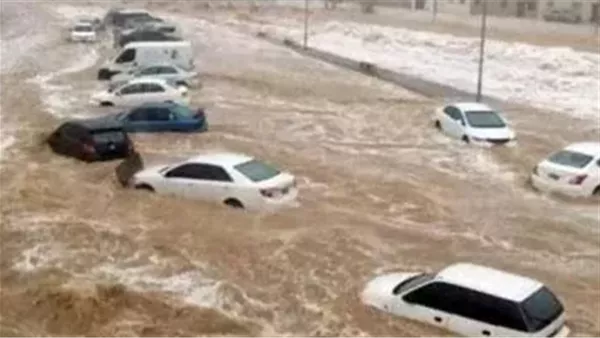 موقع أيام نيوز