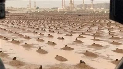 غيـره ام المؤمنين