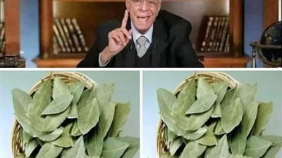 معجزة ورق الغار
