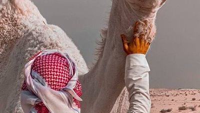 كان راعي غنم قصه كامله