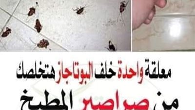 قم بوضع هذا الخليط في ركن المنزل، في الصباح سوف تلاحظ التخلص من الصړاصير تماماً