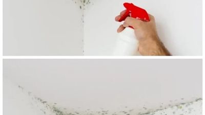 3 طرق لتنظيف العفن